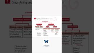 cholinergic drug pharmacology mbbs aiims medicine medicos reels shorts pg [upl. by Ahsiet]