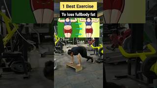 1 Best exercise for fullbody fatloss fullbodyfatloss weightloss shorts ytshorts trending fat [upl. by Ettesel]