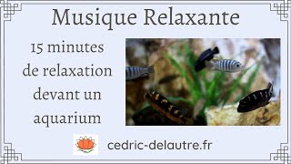 15 minutes de Musique RELAXANTE pour sendormir en regardant ce paisible aquarium [upl. by Fablan]