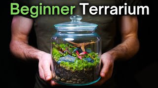 How To Make a Terrarium An InDepth Tutorial [upl. by Lever]