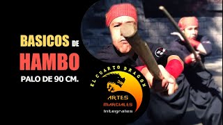 Básicos de HAMBO Armas del Budo [upl. by Jacquet]