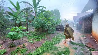 Walking in the rainbeautiful Indonesian countrysideheavy rain all day [upl. by Ellenhoj861]