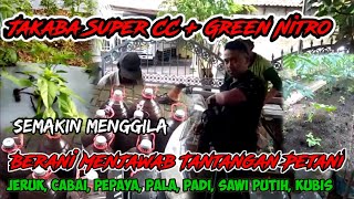 JAKABA SUPER CC Green Nitro  Nitro Sengler Pupuk Organik Cair Andalan Para Petani ❗❗ [upl. by Notpmah]