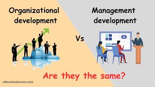 Organizational development vs Management development [upl. by Brit]