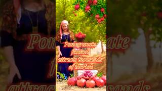 Pomegranate festival in Kurdistan attracts thousands of tourists [upl. by Nosaes916]