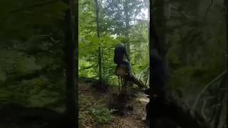 Tree cutting tree cuter is so funny 🤣\\ dont laughing 🤫shorts viralvideo [upl. by Shannon]