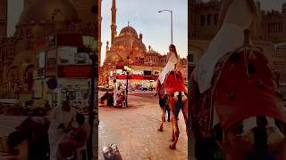 Egypt holidays 2024 egypt viral shorts [upl. by Nightingale]