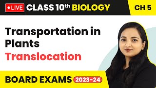 Transportation in Plants  Translocation  Class 10 Biology Chapter 5 LIVE [upl. by Ateikan]