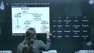 Go through the following flowchart for division of subphylum vertebrata Fill up the gaps A to [upl. by Jenilee]