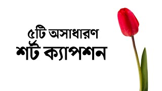 ৫ টি সুন্দর ফেসবুক ক্যাপশন 🍁 Facebook Caption Bangla ♥️ [upl. by Naghem]