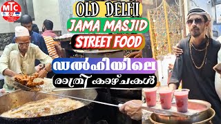 DELHI Jama Masjid Night Food Street ഡൽഹിയിലെ രാത്രി കാഴ്ച  M T C Vlogs by SIJU PEPPA [upl. by Vitia35]