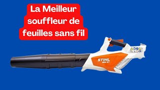 Le meilleur souffleur de feuilles sans fil [upl. by Ititrefen]