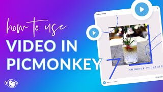 How to Use Video Clips in Your PicMonkey Designs [upl. by Tilagram]