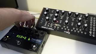 Moog Mother 32 amp Eventide Timefactor [upl. by Freida273]