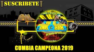 CUMBIA CAMPEONA 2019  CUMBIAS EDITADAS LIMPIAS 2019 [upl. by Nomra595]