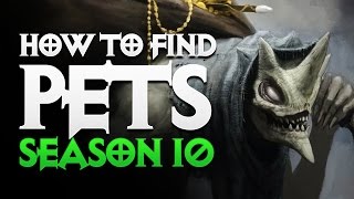 Diablo 3  HOW TO FIND PETS IN SEASON 10  MENAGERIST GOBLIN FARMING  PWilhelm [upl. by Conn]