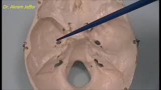 Osteology of the skull 6 cranial cavity [upl. by Pisarik]