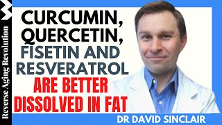 Curcumin Quercetin Fisetin amp Resveratrol Are Better Dissolved In Fat  Dr David Sinclair Int Clips [upl. by Chariot441]