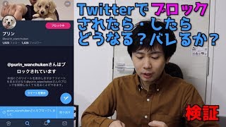 ツイッターでブロックされたら・したら どうなる？twitter（X）ブロック確認方法 [upl. by Augustus]