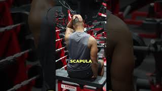 PT1 2 moves to help with scapular shoulder blade pain backpainrelief backpain exercisetips [upl. by Ocirred]