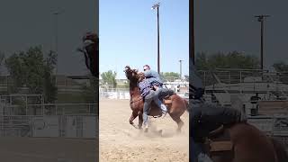 nsca omoksee horse rodeo horseshow western westernriding aqha youtubeshorts subscribe [upl. by Simonsen]