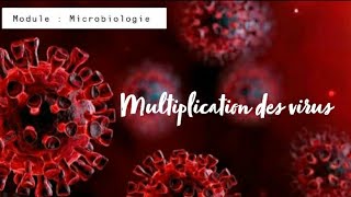 MICROBIOLOGIE ðŸ§« multiplication des virus ðŸ¦ [upl. by Abercromby]