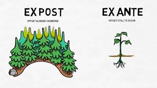 Carbon Offsetting [upl. by Nena]