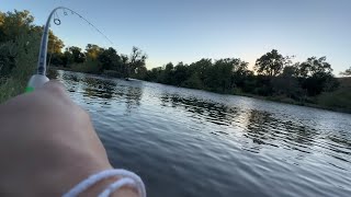 Trout Fishing 🎣  Mokelumne river [upl. by Enaamuj]