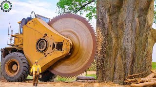 Extreme Dangerous Fastest Big Chainsaw Cutting Tree Machines  Monster Stump Removal Excavator ▶45 [upl. by Huda]