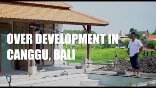 CANGGU BALIS DISAPPEARING RICE FIELDS SHORT DOCUMENTARY [upl. by Noffets]