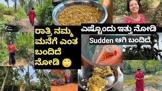 ರಾತ್ರಿ ನಮ್ಮ ಮನೆಗೆ ಎಂತ ಬಂದಿದೆ ನೋಡಿ🙄ಎಷ್ಟೊಂದು ಇತ್ತು ನೋಡಿSudden ಆಗಿ ಬಂದಿದೆKannada vlogs [upl. by Nyre195]