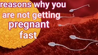 Reasons why you dont get pregnant fast after unprotected sex [upl. by Gahan449]