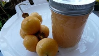 How To Make Palm Fruit Jelly  Pindo Palm DIY Self Sufficient Jelly Making [upl. by Freyah]