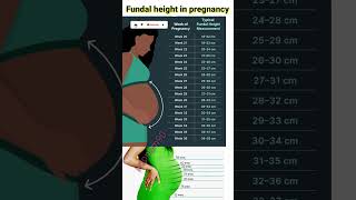 fundal height in pregnancy healthypregnancy symptoms pregnancy baby growth shorts [upl. by Valda]