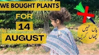 We bought plants for 14 August [upl. by Griffith]