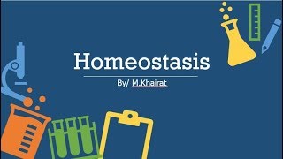 Physiology Homeostasis [upl. by Corney141]