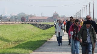 walking through auschwitz [upl. by Emoryt]