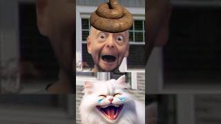 Tom sings cat let flying poop into grandpa head [upl. by Annitsirhc]