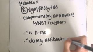 F212  The Immune Response EASY [upl. by Spalding49]