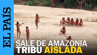 PERÚ  Indígenas Mashco Piro salen de la Amazonia en busca de comida  EL PAÍS [upl. by Marlee210]