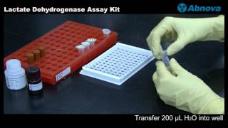 Lactate Dehydrogenase Assay Kit [upl. by Ykvir]