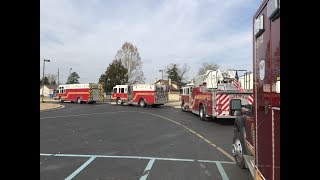 Delmar Wildcats Football Champs 2017 Parade [upl. by Barn]