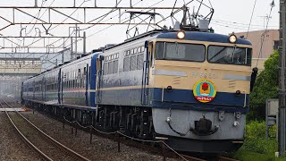 【祝！ぐんまちゃん30周年！】快速ELぐんまちゃん横川 横川行き EF65 50112系C61 20が信越本線を下る！ [upl. by Llemmart]