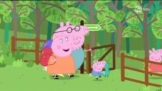 PEPPA PIG  II PICNIC NEL BOSCO [upl. by Oona803]