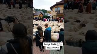 Szczawnica Redyk 2024 [upl. by Ecinahs]