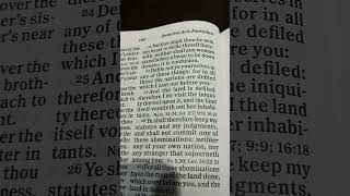 Bible Reading Leviticus Chapter 18 Verse 2224 [upl. by Brewer]