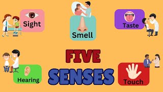 Discover the 5 Senses for Kids  Fun Learning Adventure for Toddlers [upl. by Felicia643]