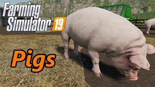 Farming Simulator 19 Tutorial  Pigs [upl. by Rediah59]