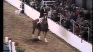 Eddie Macken  Carrolls Spotlight  Puissance 219m London 1980 [upl. by Otes626]