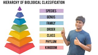 What is Taxonomic Heirarchy [upl. by Valerio]